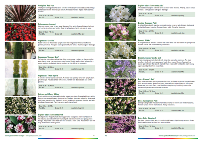 Plant and tree catalogs