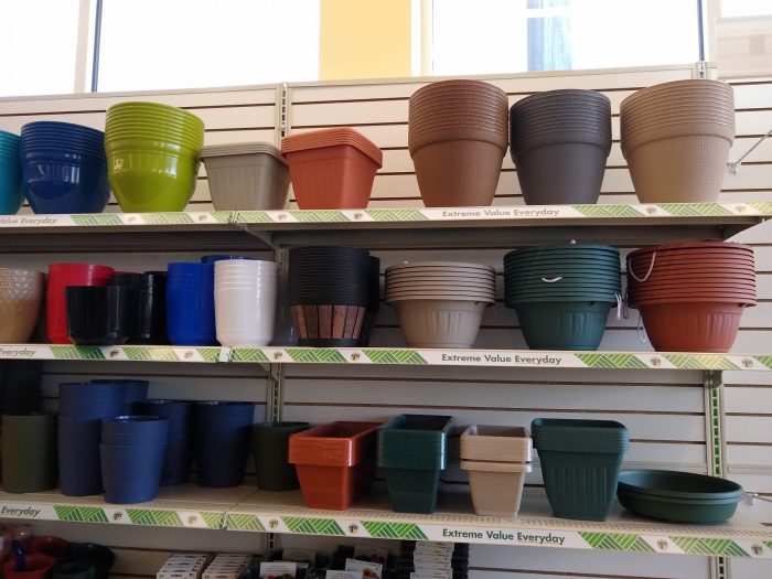 Dollar tree plant pot