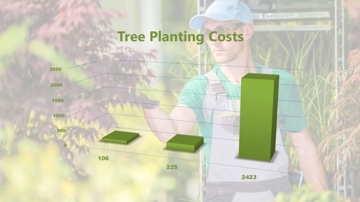 Price to plant a tree