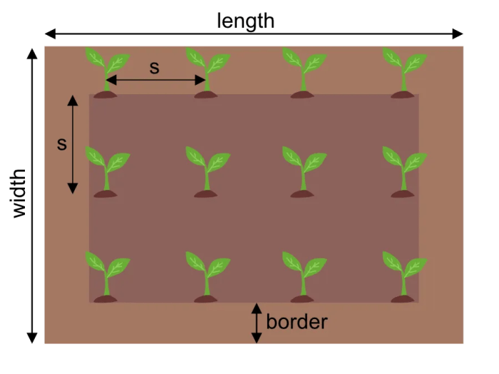 How far apart should i plant trees