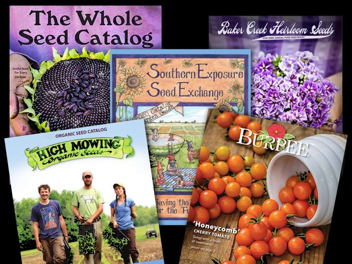 Plant and tree catalogs