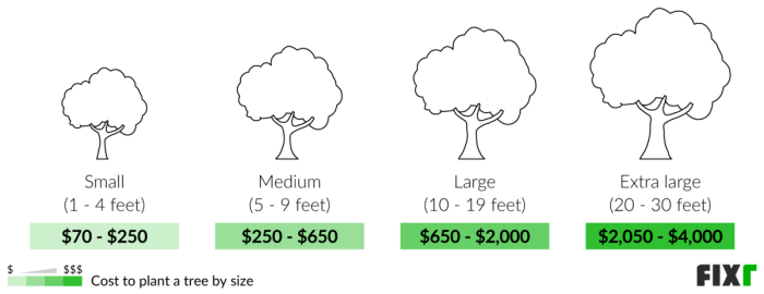 Price to plant a tree